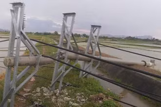 Cột điện trung thế bị gãy đổ.