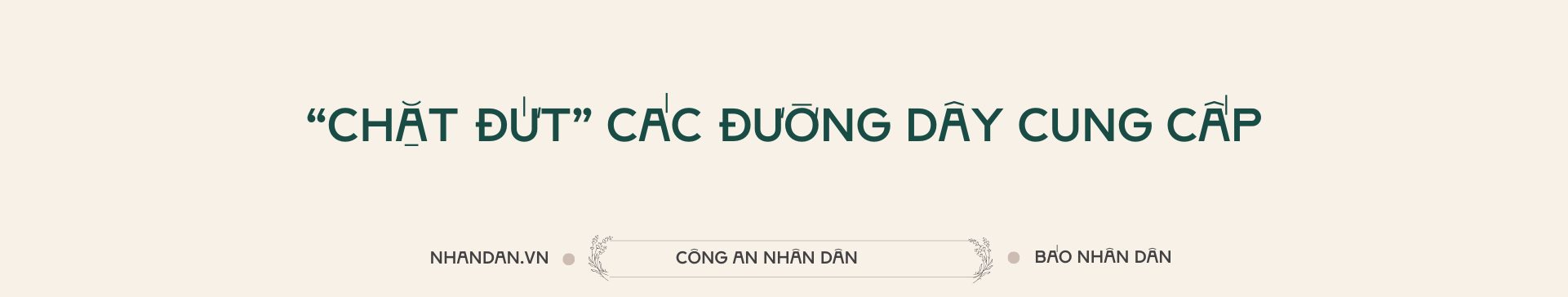 bao-dang-titai-10.png