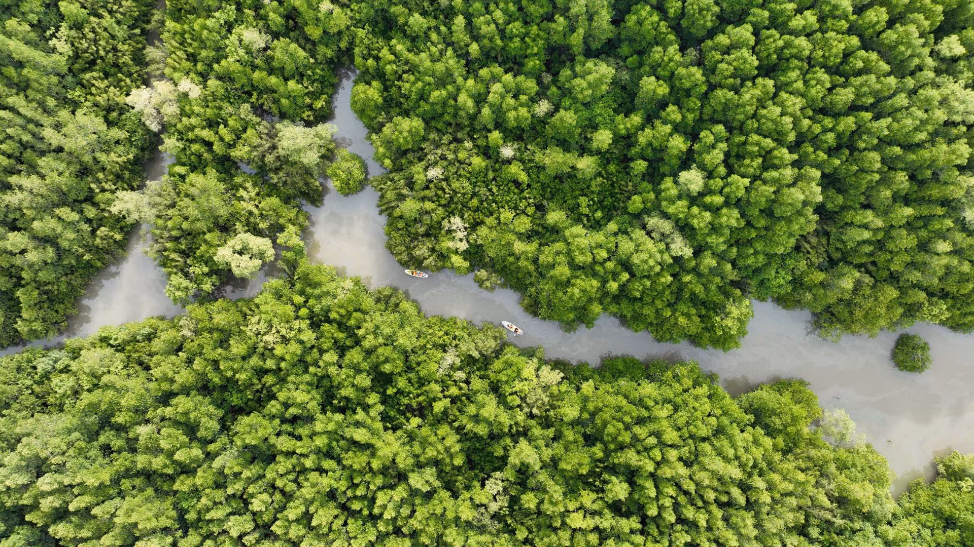 Hướng đi cho phát triển kinh tế tuần hoàn ở Thành phố Hồ Chí Minh