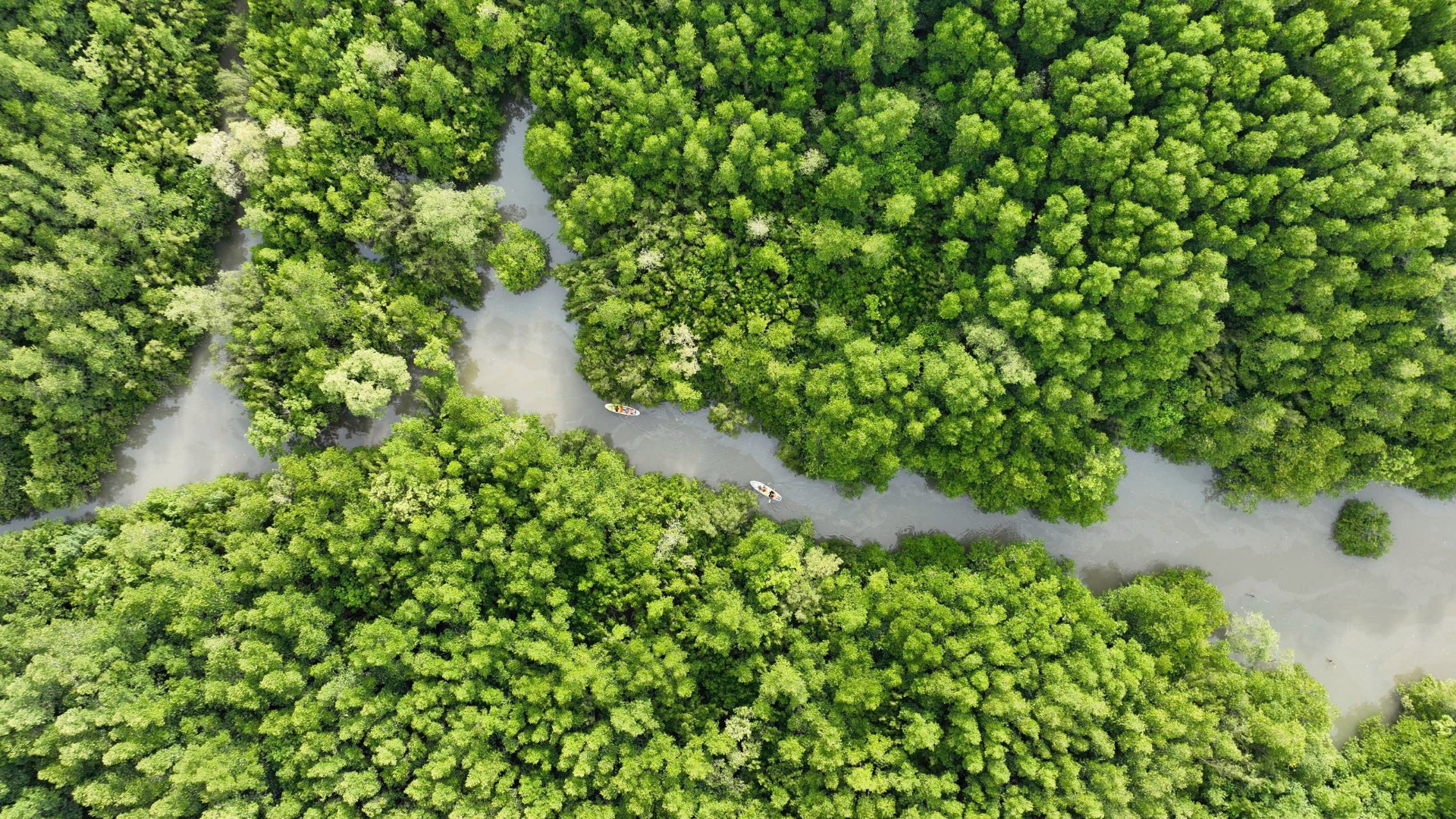 Hướng đi cho phát triển kinh tế tuần hoàn ở Thành phố Hồ Chí Minh