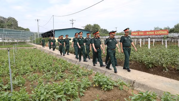 Đoàn công tác kiểm tra công tác quân nhu của Sư đoàn 324, Quân khu 4.