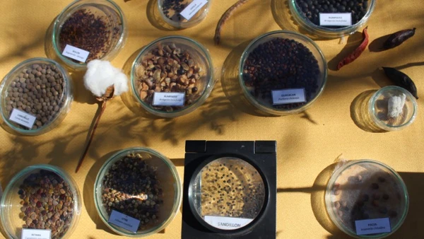 Một số mẫu hạt giống tại Ngân hàng Hạt giống Intihuasi. (Ảnh: Đại sứ quán Chile tại Việt Nam cung cấp)