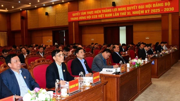 Các đại biểu tham dự hội nghị.