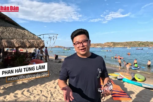 [Video] Bí ẩn "tường thành cổ" dưới lòng biển Gia Lai 