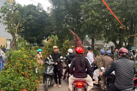 Thị trường đào, quất tấp nập vào ngày đầu nghỉ lễ.