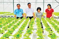 Khu Nông nghiệp công nghệ cao Thành phố Hồ Chí Minh góp phần hỗ trợ bà con nhiều giống cây trồng và công nghệ mới phục vụ cho nông nghiệp đô thị.