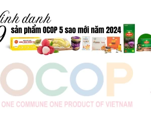 [Infographic] Năm 2024: Vinh danh 9 sản phẩm OCOP 5 sao mới