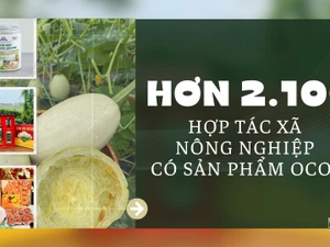 [Infographic] Hơn 2.100 hợp tác xã nông nghiệp có sản phẩm OCOP