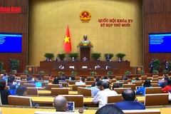 [Video] Hơn 96% vụ việc liên quan đến quy hoạch, quản lý và sử dụng đất đai đã được giải quyết