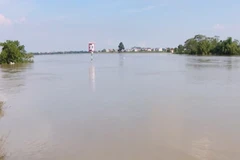 [Video] Bắc Ninh hạ mức báo động, nước sông rút nhanh