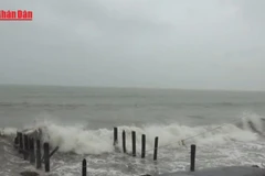 [Video] Bão số 15 giảm cường độ, đổi hướng và tiếp tục di chuyển chậm