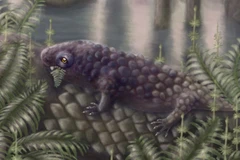 Hình ảnh minh họa về Tyrannoroter heberti. (Ảnh: CNN)