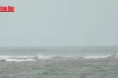 [Video] Tin bão gần Biển Đông (Fung-Wong)