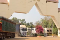 [Video] Nỗ lực tháo gỡ khó khăn khi triển khai Nghị định 46