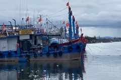 [Video] Thời tiết ngày 15/3: Bắc Bộ mưa phùn, biển nhiều nơi gió mạnh