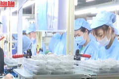 [Video] Phát triển kinh tế – xã hội năm 2025: Dự kiến đạt và vượt mọi chỉ tiêu