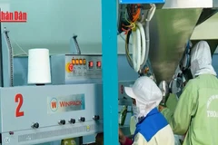 [Video] Gạo chất lượng cao Việt Nam bứt phá nhờ sản xuất xanh