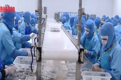 [Video] Thu nhập bình quân người lao động tăng lên 8,4 triệu đồng/tháng