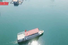 [Video] Tết Dương lịch 2026: Du lịch cả nước đón khoảng 3,5 triệu lượt khách