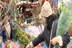 [Video] Chợ hoa Hà Nội nhộn nhịp trước Tết