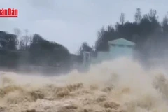 [Video] Lũ trên các sông tại Quảng Ngãi đang lên 