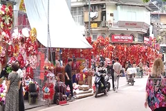 [Video] Nhộn nhịp mùa mua sắm Tết Bính Ngọ