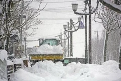 Tuyết rơi dày đặc tại Hokkaido, Nhật Bản. (Ảnh: Kyodo/TTXVN)