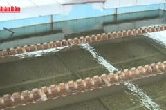 [Video] Bảo đảm cấp nước an toàn, chống thất thu, thất thoát nước sạch 