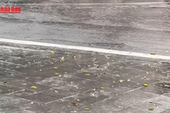 [Video] Không khí lạnh mạnh gây mưa lớn, Bắc Bộ và Bắc Trung Bộ chuyển rét 