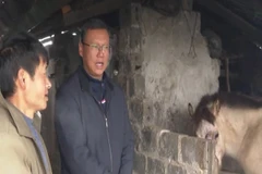 [Video] Ghi nhận mức nhiệt dưới 10 độ ở 17 tỉnh, thành 