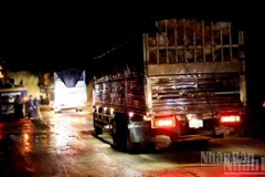 Từ 18 giờ ngày 30/11, các phương tiện giao thông đã lưu thông trở lại trên tuyến đèo Mimosa.