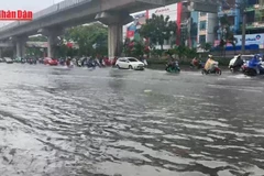[Video] 14 tỉnh, thành phía Bắc khẩn cấp ứng phó bão số 11
