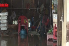 [Video] Vùng ven biển Lâm Đồng thiệt hại nặng nề do mưa lũ 