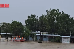 [Video] Khẩn trương đưa người dân Đà Nẵng đến nơi an toàn 
