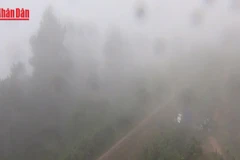 [Video] Bắc Bộ trở rét, vùng núi cao rét đậm trong ngày 3/12