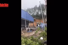 [Video] 5 người bị thương do dông lốc, mưa đá ở miền Bắc