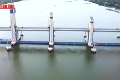 [Video] Phê duyệt Quy hoạch thủy lợi lưu vực sông Cửu Long đến năm 2030 