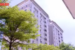 [Video] Đồng Nai sắp hoàn thành hàng nghìn căn nhà ở xã hội 