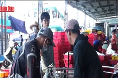 [Video] Ngư dân Khánh Hòa nâng cao ý thức chống khai thác IUU