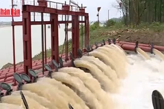 [Video] Hà Nội sẵn sàng cho đợt lấy nước đổ ải vụ Đông Xuân năm 2026 