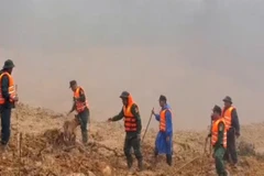 [Video] Huy động cảnh khuyển tìm kiếm các nạn nhân nghi mất tích do sạt lở 