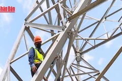 [Video] Nỗ lực thi công dự án đường dây 220kV Than Uyên – Lào Cai