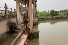 [Video] Tình trạng xâm nhập mặn gia tăng tại thành phố Hải Phòng 