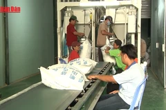 [Video] Việt Nam đã xuất khẩu hơn 7 triệu tấn gạo năm 2025