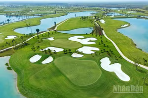 Royal Cup Series 2026.