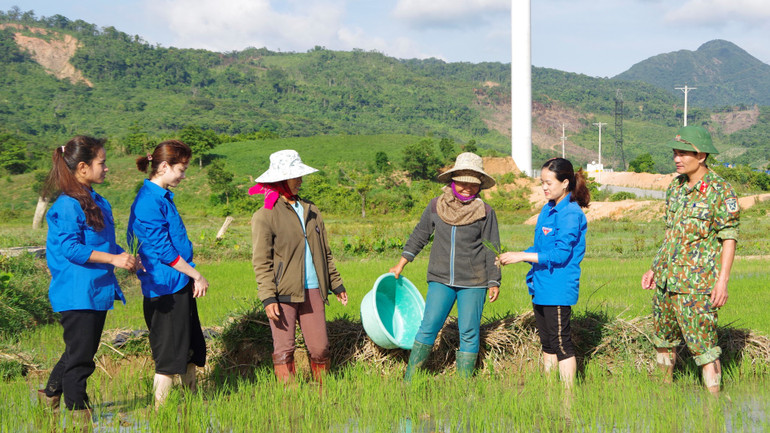 Cán bộ, nhân viên và trí thức trẻ tình nguyện đơn vị hướng dẫn người dân chăm sóc hiệu quả cây lúa nước. ktqp2-3059.jpg