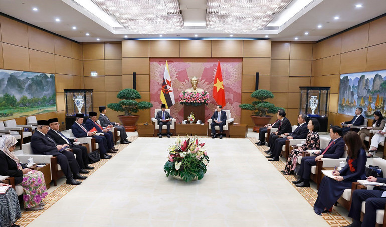 vna-potal-chu-tich-quoc-hoi-tran-thanh-man-hoi-kien-quoc-vuong-brunei-8443425.jpg