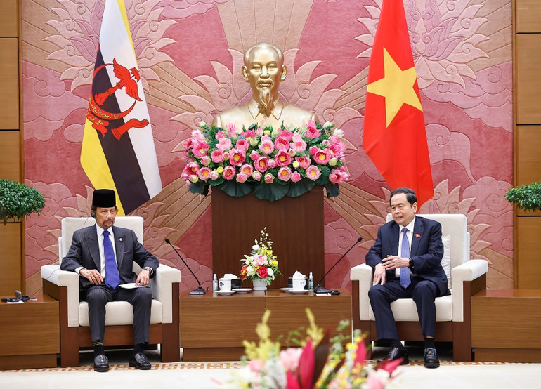 vna-potal-chu-tich-quoc-hoi-tran-thanh-man-hoi-kien-quoc-vuong-brunei-8443424.jpg