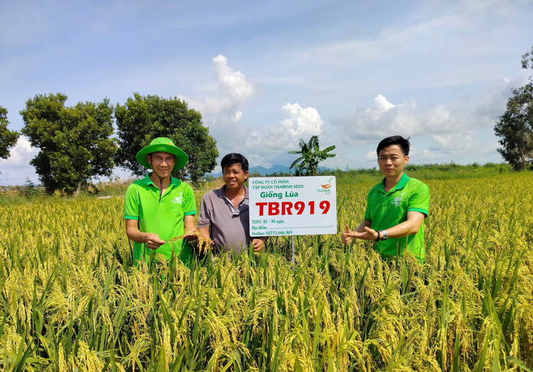 Nhiều giống lúa của Công ty cổ phần Tập đoàn ThaiBinh Seed được nông dân sử dụng rộng rãi trên cả nước. (Ảnh LINH VŨ) 1-ong-nghiep-viet-nam-2.jpg