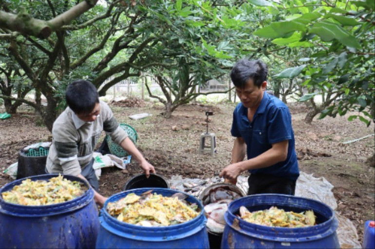 Các nguyên liệu để bón cho vườn nhãn hữu cơ của anh Bùi Xuân Sử. (Ảnh: Thanh Bình) 10-7-nhan-2-446.jpg